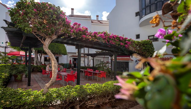 HG Cristian Sur - Foto 4