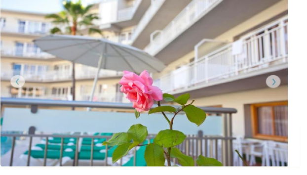 Ecuador Park - Foto 5