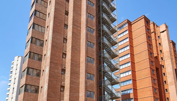 Don Gregorio - Foto 3