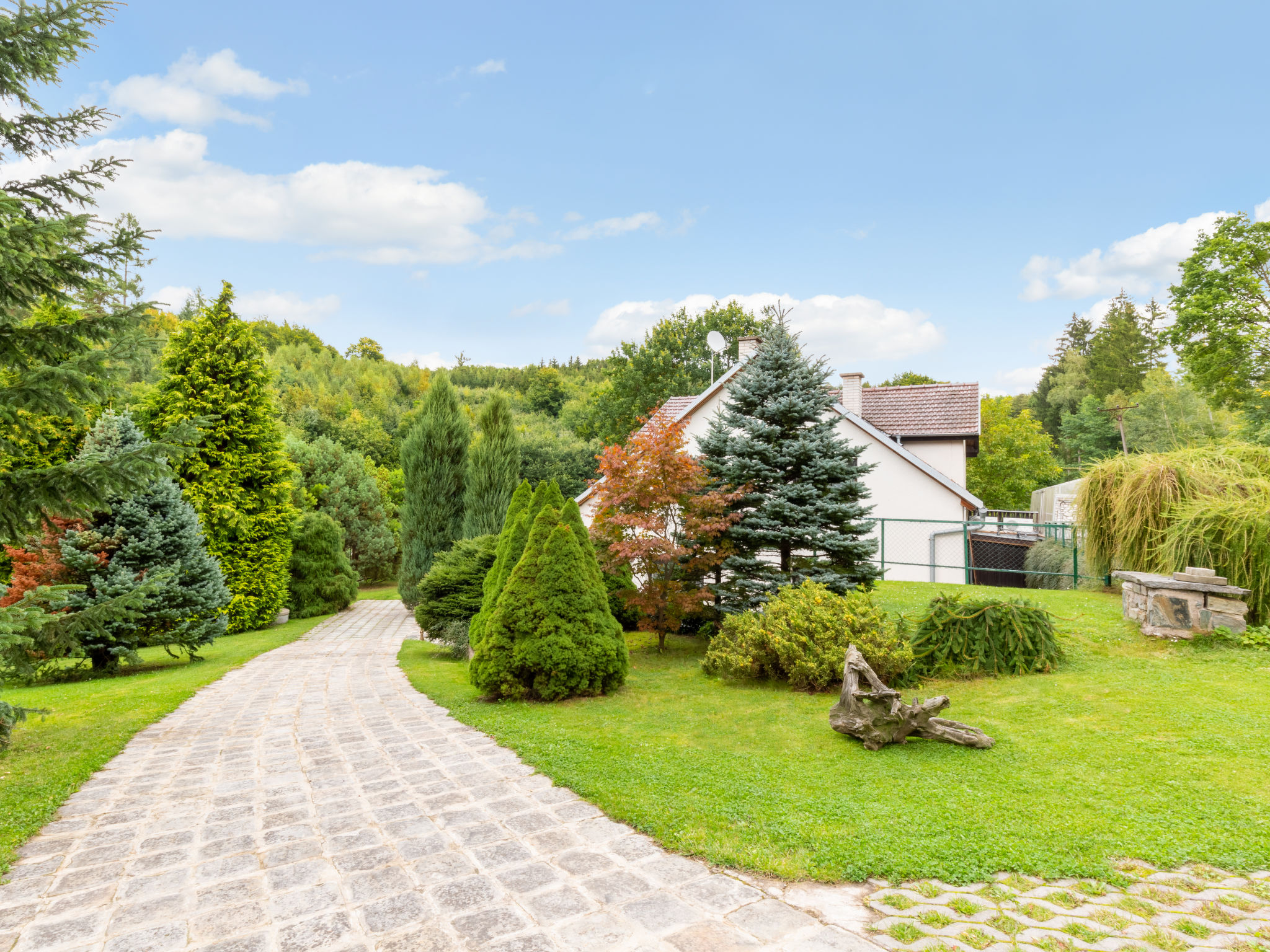 Foto 45 - Casa de 6 habitaciones en Rataje nad Sázavou con piscina privada y jardín