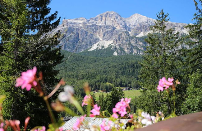Hotel Villa Blu Cortina D'Ampezzo - Foto 33