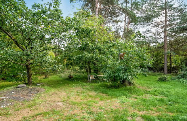 Casa de 2 quartos em Rønde com terraço - Foto 8