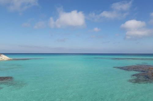 Foto 13 - Cavall de Llevant - Formentera Break