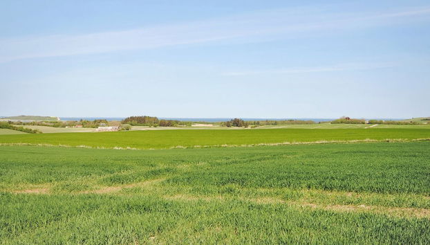 Haus mit 6 Schlafzimmern in Nykøbing M mit terrasse - Foto 3