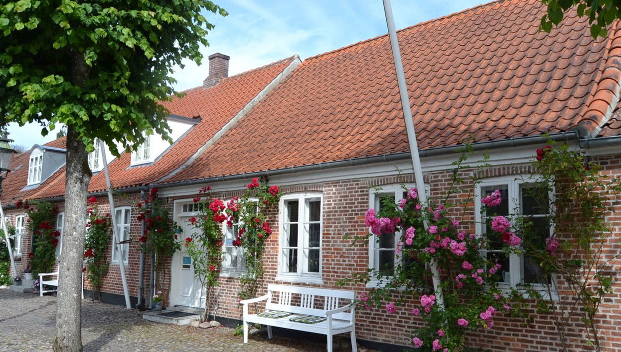 Haus mit 3 Schlafzimmern in Møgeltønder mit terrasse - Foto 1