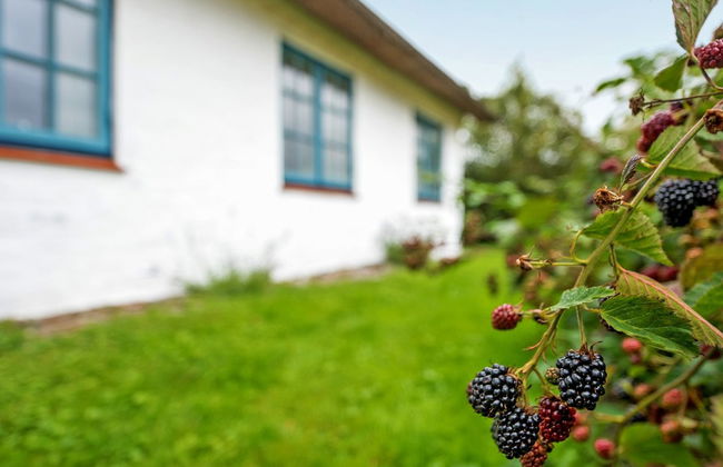 Casa de 3 quartos em Bredebro com terraço e sauna - Foto 8