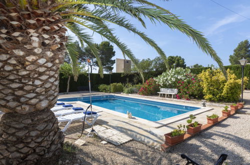 Foto 19 - Casa de 3 quartos em l'Ametlla de Mar com piscina privada e jardim