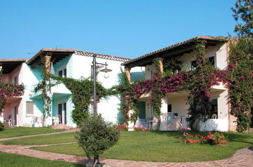 Foto 2 - Apartamento de 1 habitación en Olbia con piscina y jardín