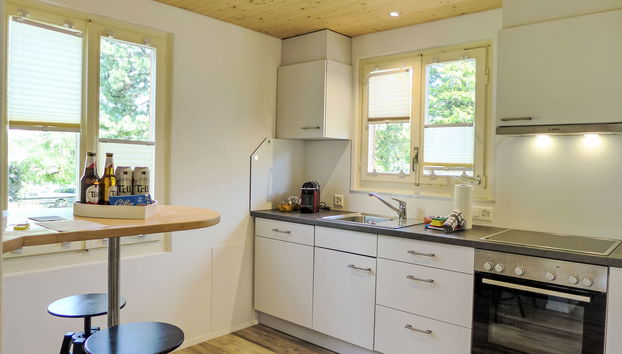 Haus mit 4 Schlafzimmern in Interlaken mit garten - Foto 5