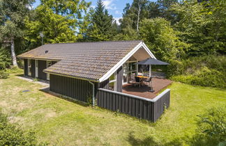 Foto 1 - Haus mit 3 Schlafzimmern in Rørvig mit terrasse