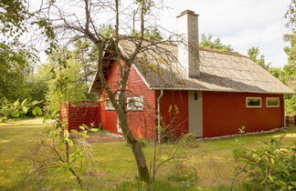 Foto 2 - Haus mit 2 Schlafzimmern in Hals mit terrasse