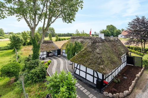 Photo 20 - Maison de 3 chambres à Otterup avec terrasse