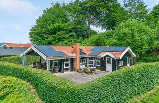 Photo 1 - Maison de 2 chambres à Børkop avec terrasse