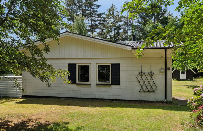 "Rietrikki" - 1.5km from the sea - Foto 2