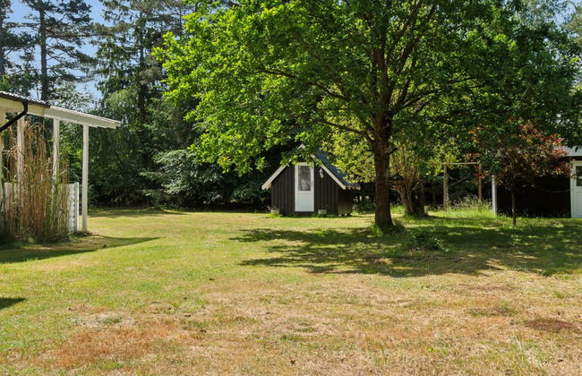 "Rietrikki" - 1.5km from the sea - Foto 3