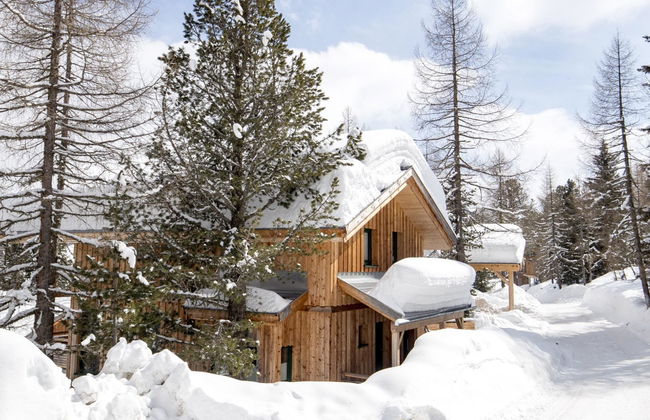 Casa de 5 quartos em Stadl-Predlitz com jardim e terraço - Foto 7
