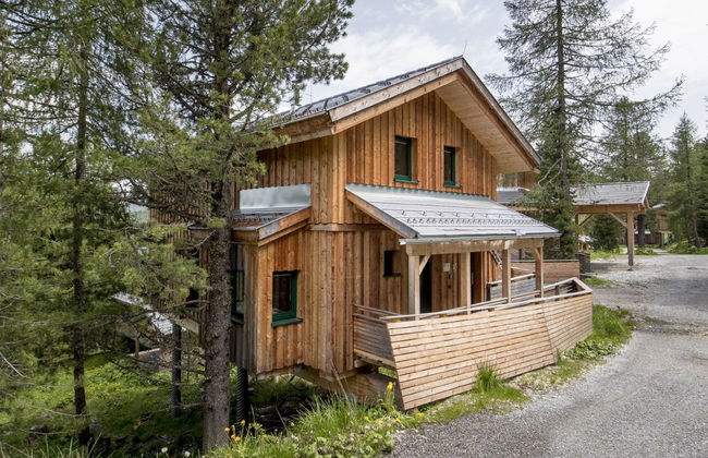 Casa de 5 quartos em Stadl-Predlitz com jardim e terraço - Foto 11