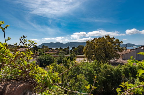 Photo 32 - Maison de 4 chambres à Porto-Vecchio avec piscine et jardin