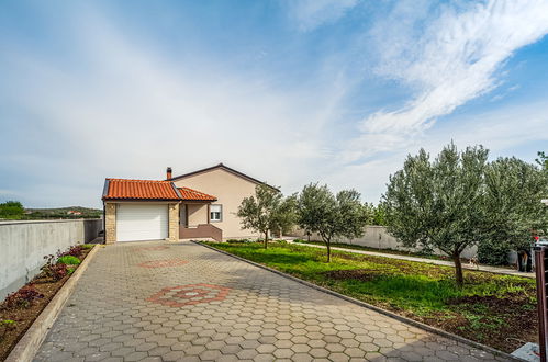 Photo 32 - 3 bedroom House in Benkovac with private pool and garden