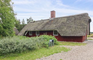 Foto 3 - Casa de 3 quartos em Rømø com terraço e sauna