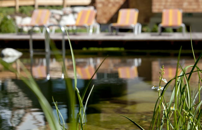 Apartment mit 2 Schlafzimmern in Reith bei Kitzbühel mit garten und sauna - Foto 6