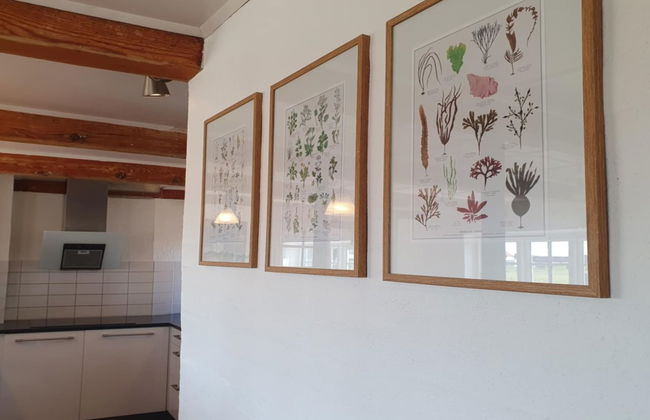 "Answald" - 250m from the sea - Foto 24