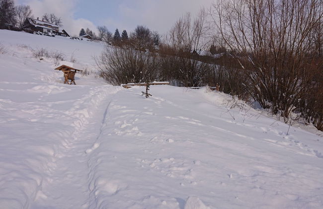 Casa de 5 quartos em Rokytnice nad Jizerou com jardim e sauna - Foto 54