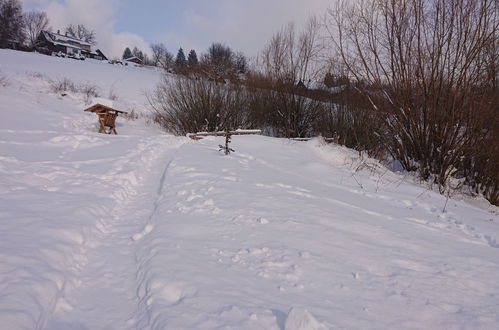 Foto 46 - Appartamento con 3 camere da letto a Rokytnice nad Jizerou con giardino e sauna