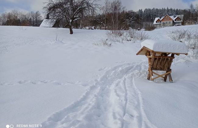 Casa de 5 quartos em Rokytnice nad Jizerou com jardim e sauna - Foto 48