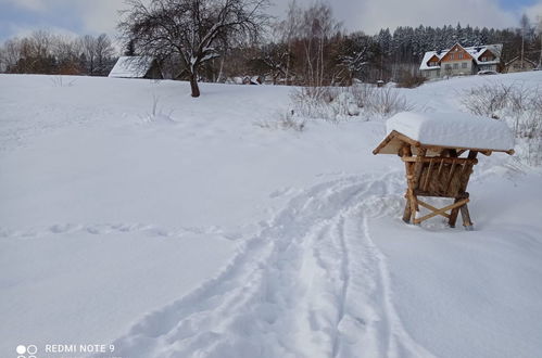 Foto 49 - Appartamento con 2 camere da letto a Rokytnice nad Jizerou con giardino e sauna