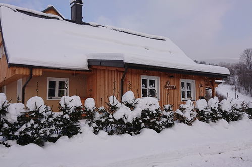 Foto 44 - Apartment mit 2 Schlafzimmern in Rokytnice nad Jizerou mit garten und sauna