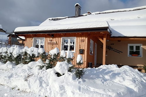 Foto 42 - Casa con 5 camere da letto a Rokytnice nad Jizerou con giardino e sauna