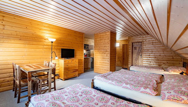 Appartement de 3 chambres à Rokytnice nad Jizerou avec jardin et sauna - Photo 2