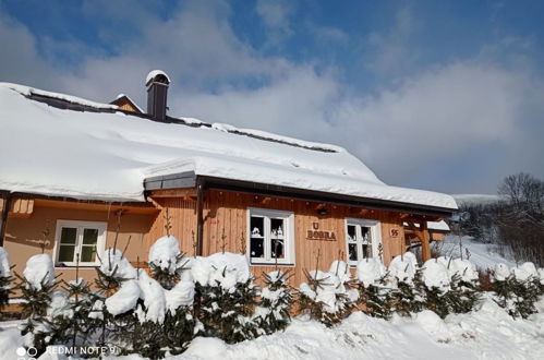 Foto 46 - Casa con 5 camere da letto a Rokytnice nad Jizerou con giardino e sauna