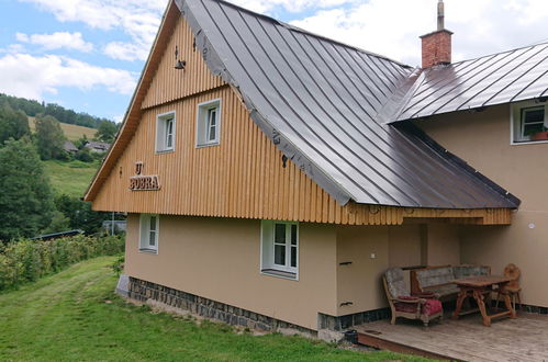 Photo 1 - Maison de 5 chambres à Rokytnice nad Jizerou avec jardin et sauna