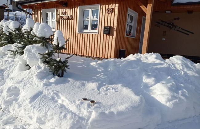 Casa de 5 quartos em Rokytnice nad Jizerou com jardim e sauna - Foto 52