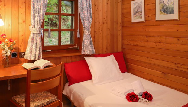 Casa de 4 quartos em Zermatt com jardim e terraço - Foto 5