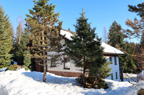 Photo 17 - 2 bedroom Apartment in Harrachov with garden