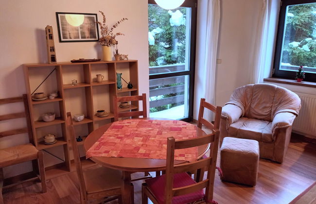 Apartamento de 2 quartos em Harrachov com jardim - Foto 13