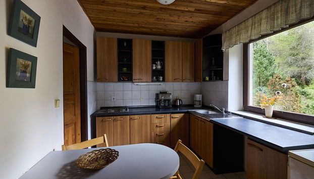 Apartamento de 2 quartos em Harrachov com jardim - Foto 5