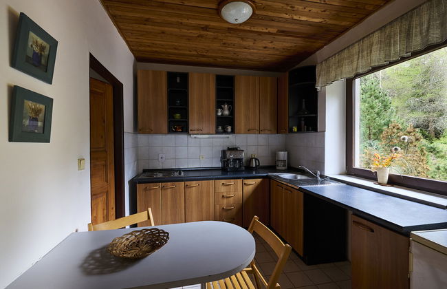 Apartamento de 2 quartos em Harrachov com jardim - Foto 5