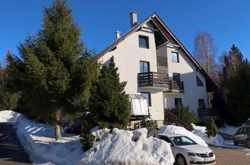 Photo 14 - 2 bedroom Apartment in Harrachov with garden