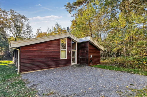 Foto 4 - Casa con 4 camere da letto a Hasle con terrazza e sauna