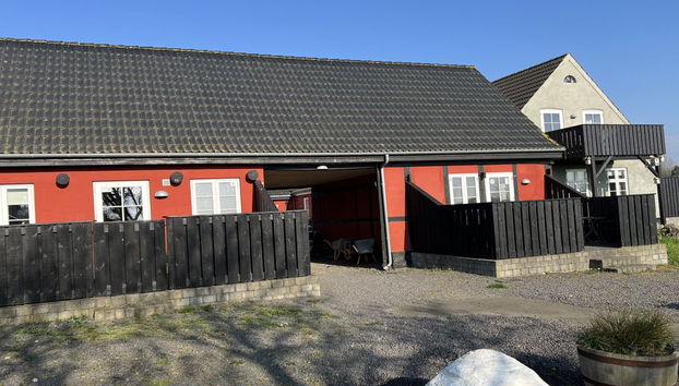 Apartment mit 1 Schlafzimmer in Aakirkeby mit schwimmbad und terrasse - Foto 3