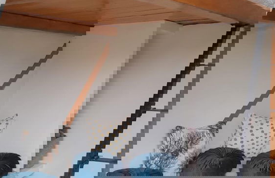 Bosque Geométrico - Foto 26