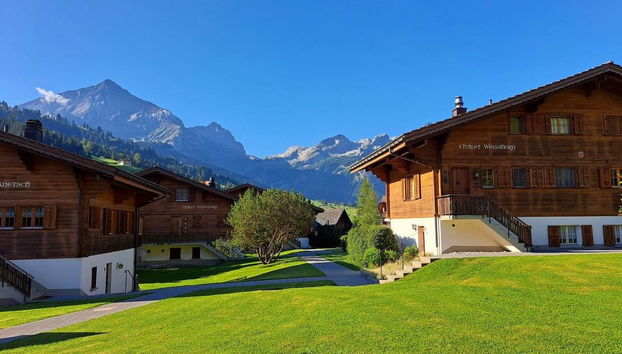 Apartamento de 2 quartos em Gsteig - Foto 3