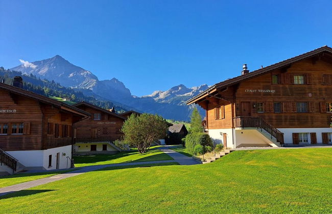 Apartamento de 2 quartos em Gsteig - Foto 3