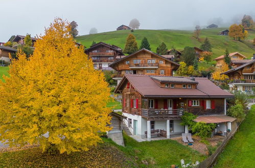 Foto 74 - Appartamento con 4 camere da letto a Habkern con giardino e vasca idromassaggio