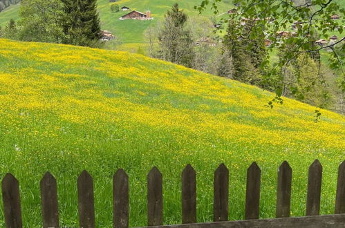 Foto 27 - Apartamento de 4 quartos em Habkern com jardim e vista para a montanha