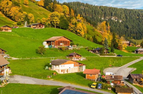 Foto 70 - Apartamento de 4 quartos em Habkern com jardim e vista para a montanha